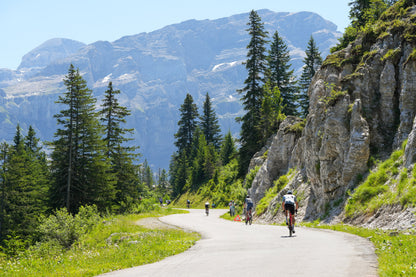 The Majestics UCI Gran Fondo 2026